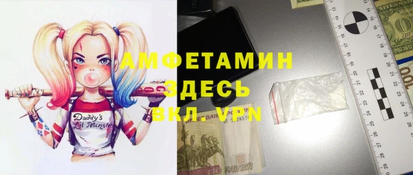 гашик Янаул