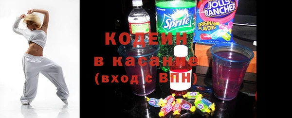 тгк Гусев