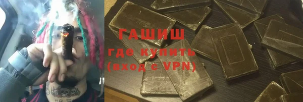 тгк Гусев