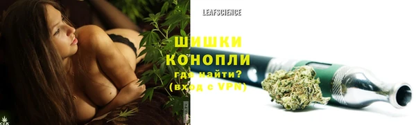 тгк Гусев