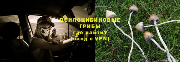 PSILOCYBIN Яровое
