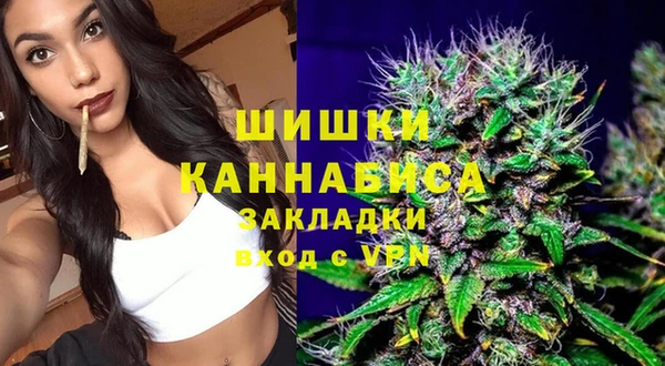 тгк Гусев
